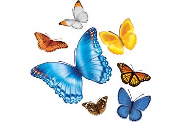 Butterfly Gust