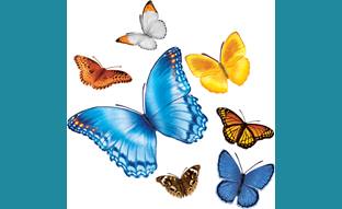 Butterfly Gust