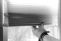Window Blinds