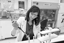 Postdoctoral